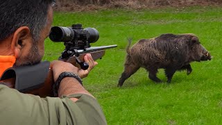 27 Incredible Wild Boar Shots in 17 Minutes | BEST OF HUNTING Compilation