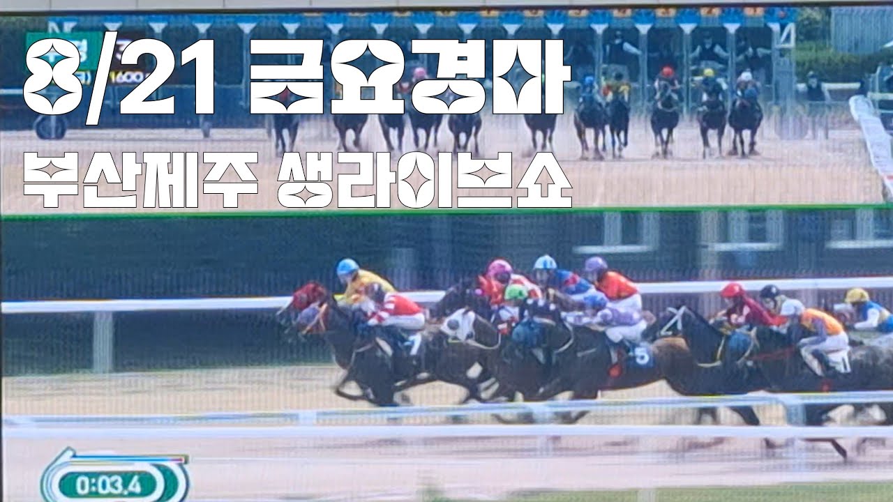 금요야간경마 최고배당 삼쌍승식8432.4배 (부산 제주 전경주생라이브쇼) 