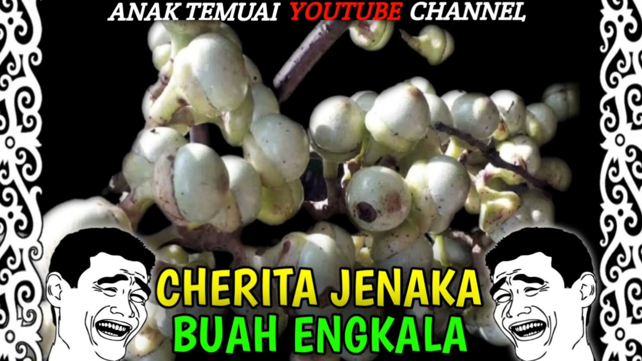 CHERITA JENAKA IBAN-BUAH ENGKALA