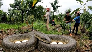 Brave Hunters Fight a Horde of Dangerous Dragon Snakes