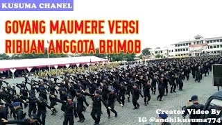 KEREN RIBUAN BRIMOB GOYANG MAUMERE