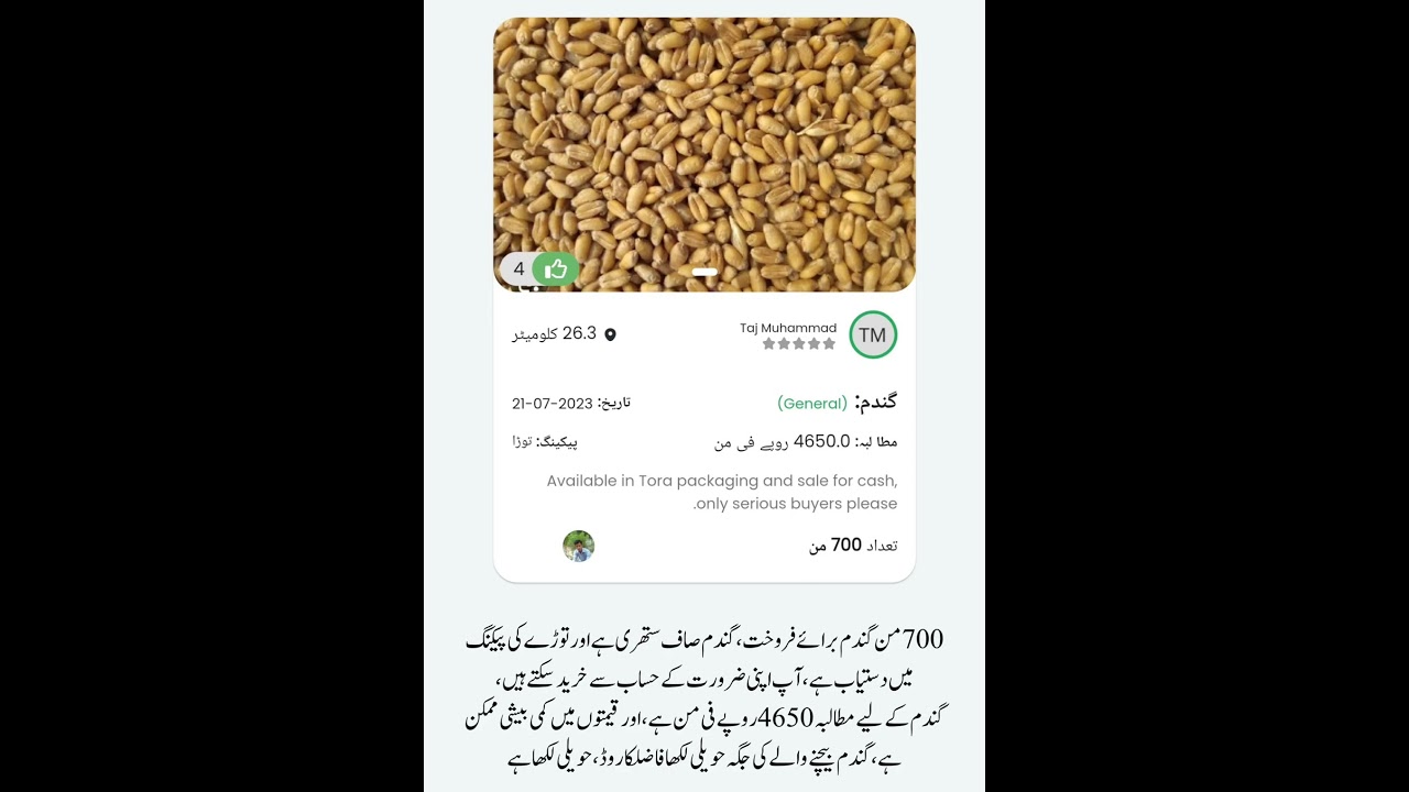 Sell and Buy Wheat | Gandum Ki Frokht | Deal 355