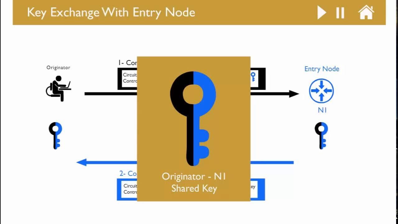 Entry node. Entry node