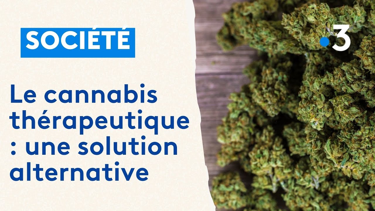 Le cannabis thérapeutique : une solution alternative aux anti-douleurs traditionnels
