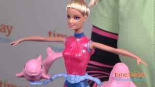 Barbie I Can Be ... Dolphin Trainer from Mattel
