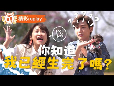 炎亞綸 陳大天傻眼！ Sandy辦產前派對 卻自爆已生產？【 萌寵明星粗乃玩 X 精彩replay 】 @haveapetday