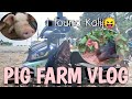 I WENT TO PIG FARM|| I found Kalij also😜- EAMATEO VLOGS