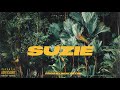 Afroswing x Dancehall Type Beat " SUZIE " | Dancehall Instrumental 2020 (Ft. Drake & Popcaan )