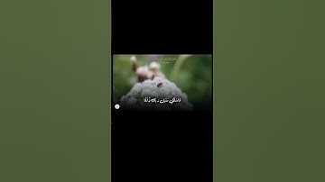 تلاوة ندية من سورة النحل | أحمد كاسب