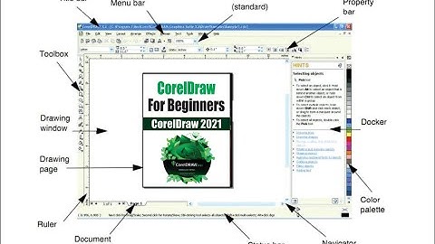 CorelDraw for Complete Beginner - CorelDraw Interface Explained