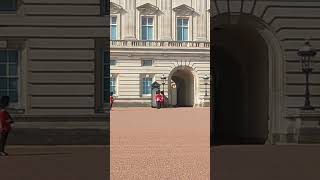 The Royal Guard, Donning A Bearskin Cap, In Front Of The Buckingham Palace