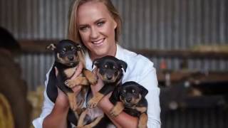 Aussie Dogs - Celeste story