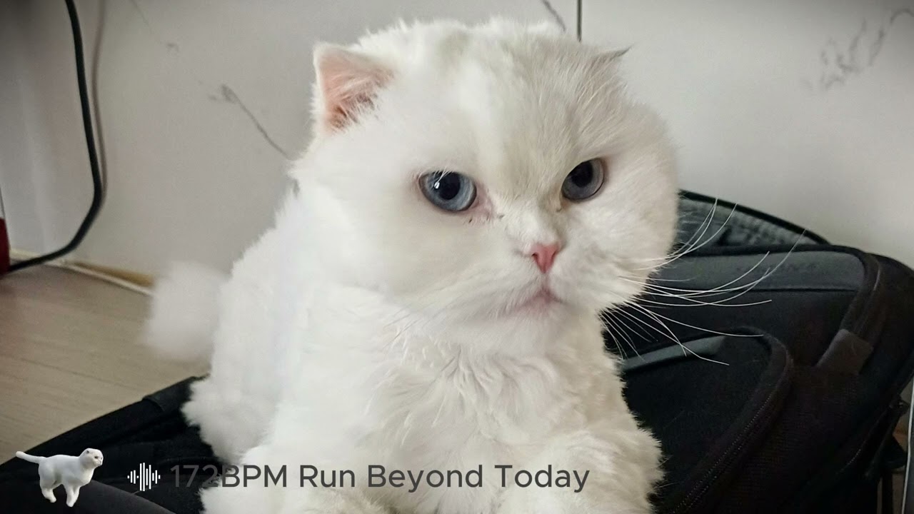 172BPM Run Beyond Today (Remix)