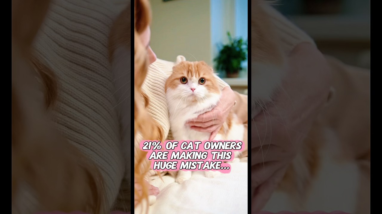 21% владельцев кошек совершают ЭТУ огромную ошибку… 