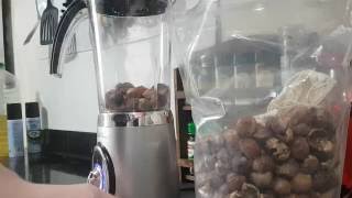 Soap nuts Vs blender how to make Indian washing nuts into a powder for natural cleaning