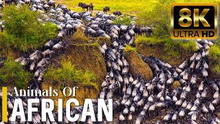 4K African Wildlife: Mana Pools National Park, Zimbabwe  Scenic Wildlife Film With African Music
