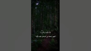 ادخلوها بسلام √ بصوت القارئ محمد هشام