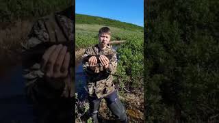 рыбалка на хариуса #таймыр #север #хариус #трофейнаярыбалка #fishing #россия #спиннинг #блесна #лето