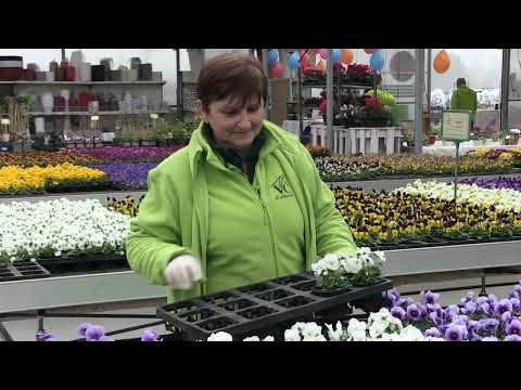 05 rođendan "Vrtlarije Čuček"