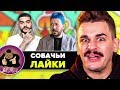 Тимати поет на свадьбе // Юлик работает с Лебедевым