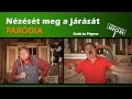 Mert a nézését meg a járását - Kató és Pityesz (PARÓDIA)