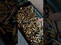 Storing 3000 Rounds of 22lr ammo #shorts