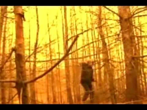 Portishead - Itsa fire