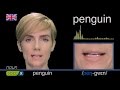 How To Pronounce PENGUIN - American vs British Pronunciation esl american accent 発音