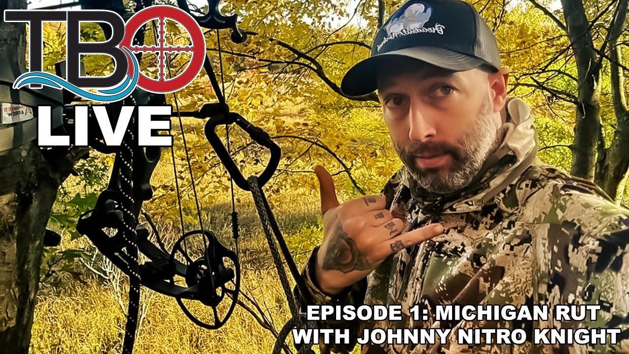 The Bear Population Has EXPLODED In Our Country YouTube the-bear-population-has-exploded-in-our-country-youtube