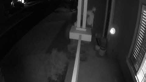 Deep Sentinel Wireless Camera — Sample Footage (Front Porch, Nighttime Testing)
