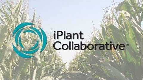 iPlant Genotype to Phenotype