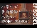 【サボテン相談室 羽兼直行】多肉植物との出会い〜少年編〜EPISODE1.