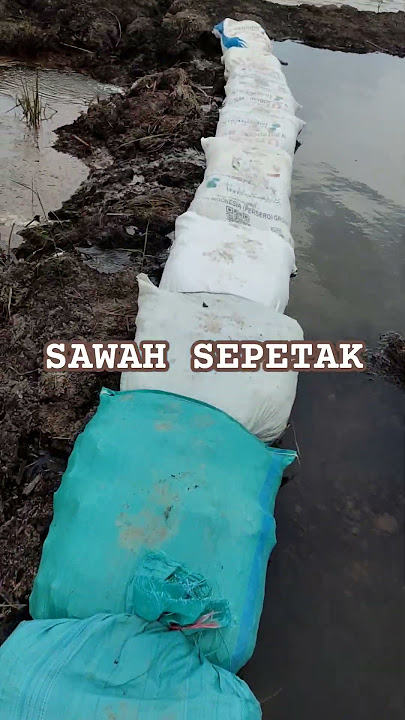 Sepetak Sawah