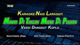 MAWAR DI TANGAN MELATI DI PELUKAN KARAOKE KOPLO  NADA COWOK - (NAIS LARASATI)