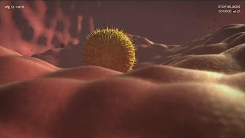 Virtual Town Hall Coronavirus Segment 1