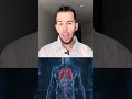 فيروس هانتا الخبيث