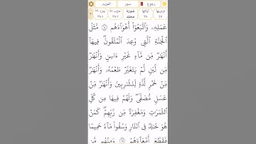 #سورة_محمد #رقم_47 القسم 5