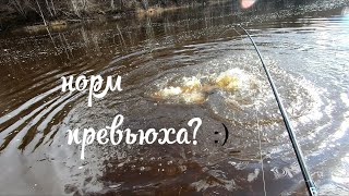 лосось ретроспектива