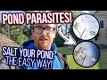 Pond Parasites - Salt Your Pond: The Easy Way!