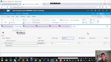 SAP Screen Persona Demonstration