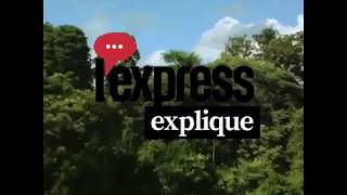 En Guyane, une montagne d'or et de polémique