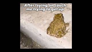 Getting Off The Couch 