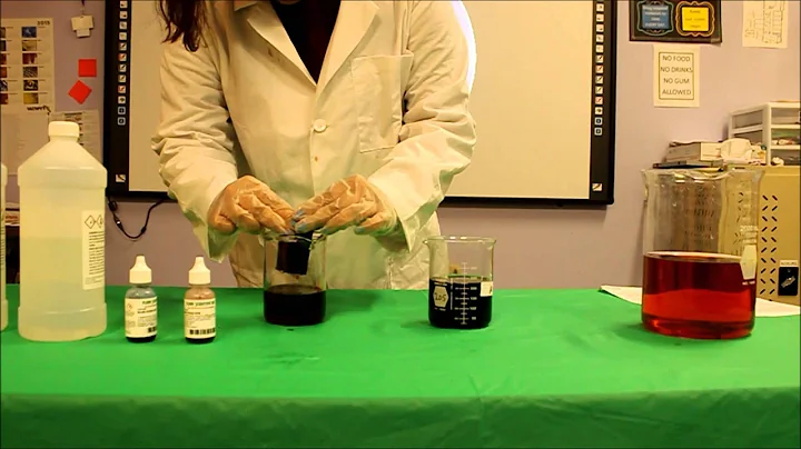 Indicator Sponge Freisy Aguilar