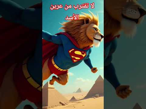 لا تقترب من عرين الأسد معلومات ترند