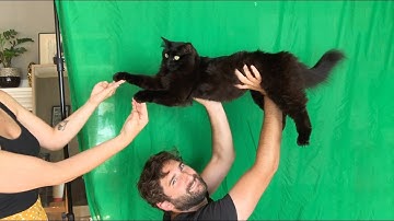 Dirty Dancing - starring my cat (behind the scenes)