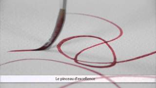 RAPHAEL KOLINSKY RONDE, LONGUE ET POINTUE 88026 FR