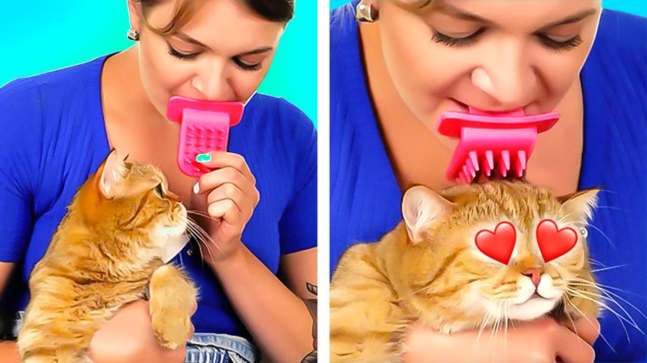 AMAZING PET HACKS AND GADGETS YOUR FLUFFIES WILL LIKE