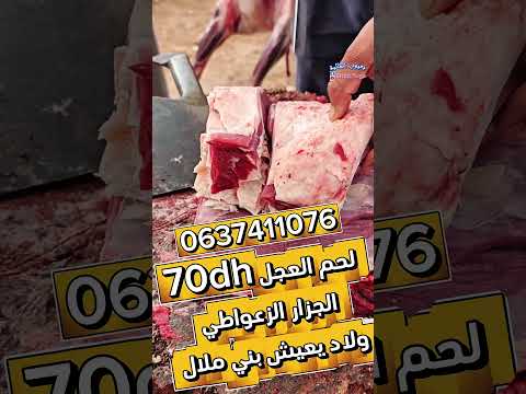 الزعواطي بني ملال 20 نوفمبر 2025 اكسبلور