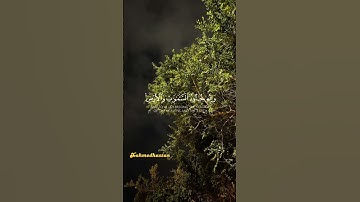 (هُوَ الَّذِي أَنزَلَ السَّكِينَةَ فِي قُلُوبِ الْمُؤْمِنِينَ❤) سورة الفتح🕋 |#القارئ_عبدالرحمن_مسعد
