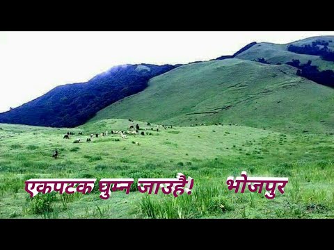 पुर्बकाे रमाईलाे ठाउँ भाेजपुर जिल्ला/purbako Ramailo Thau Bhojpur Jilla.